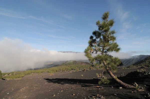 Dessus Des Nuages Blancs Sur Une Vallée Sur Une Île — Photo