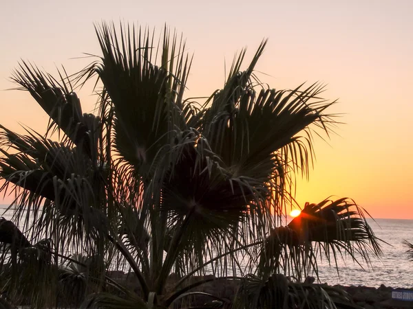 Auringonlasku Atlantin Valtamerellä Teneriffalla Kanariansaarella Espanja — kuvapankkivalokuva