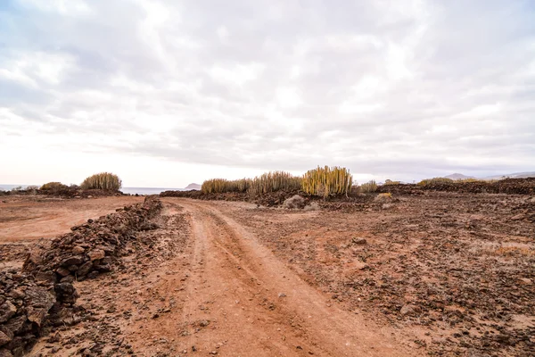 Photo Picture Dirt Road Leading Desert — Stock Photo, Image