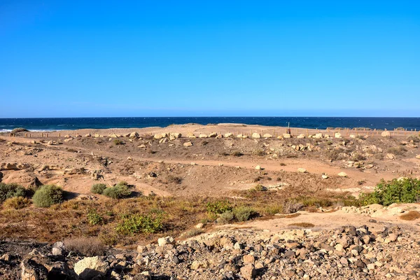 Spanische Landschaft Tropischen Vulkanischen Kanarischen Inseln Spanien — Stockfoto