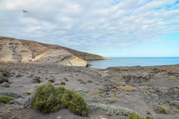 Volcanic Rock Basaltic Formation Canary Islands — Stock Photo, Image