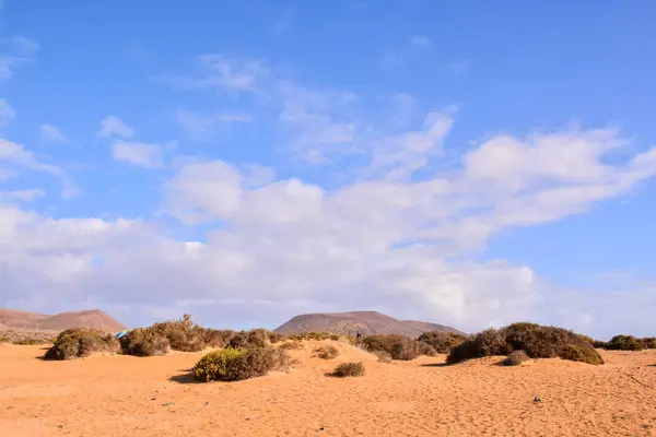 Spaans Uitzicht Landschap Lanzarote Tropische Vulkaan Canarische Eilanden Spanje — Stockfoto