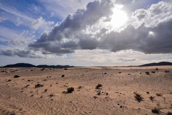 उष्णकटिबंधीय ज्वालामुखीय कैनरी द्वीपसमूह स्पेन में परिदृश्य — स्टॉक फ़ोटो, इमेज