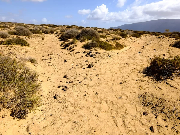 Paisaje en Islas Canarias Volcánicas Tropicales España — Foto de Stock