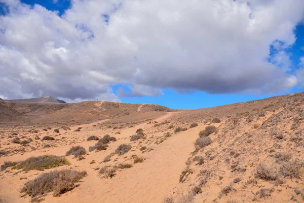 Landschaft in tropischen vulkanischen Kanarischen Inseln Spanien — Stockfoto