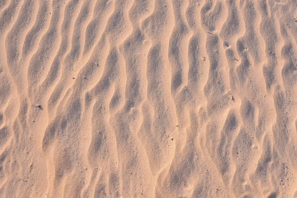 Tekstura Piaszczysta wydma pustynia — Zdjęcie stockowe