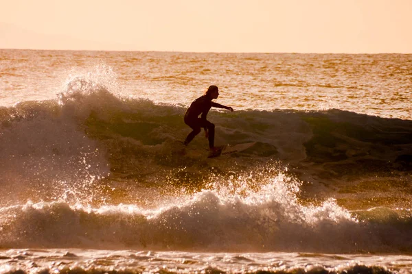 Surfista al atardecer en un océano tranquilo — Foto de Stock