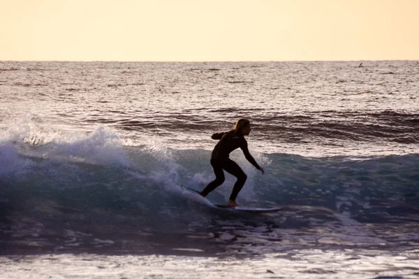 Surfista al atardecer en un océano tranquilo — Foto de Stock