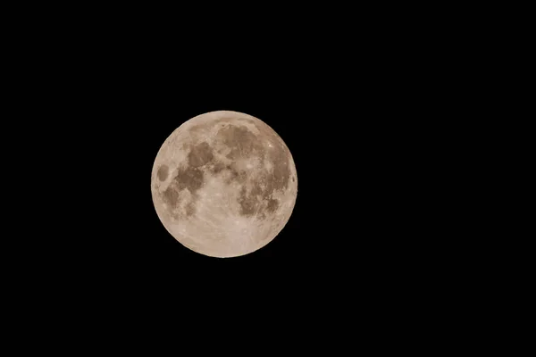 Bulan di langit malam — Stok Foto