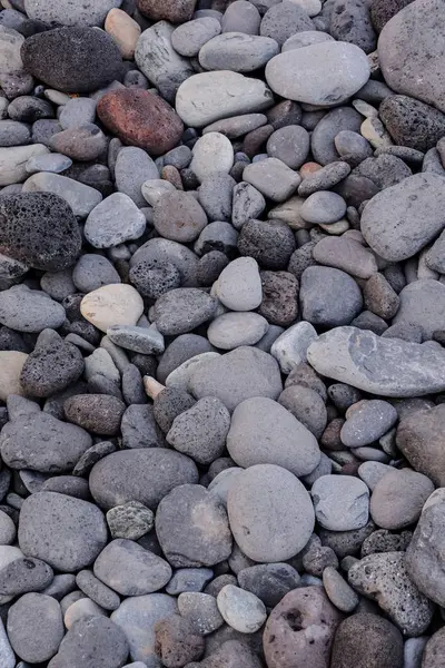 Piedras secas redondas apestosas —  Fotos de Stock