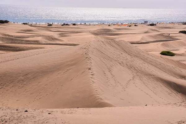 Desert with sand dunes in Gran Canaria Spain — Stock Photo, Image
