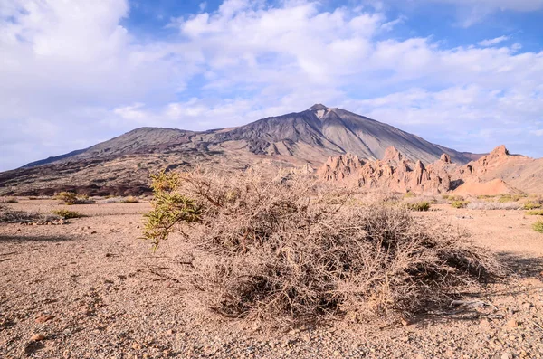 Národní park Teide — Stock fotografie