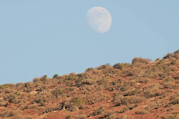 Casi luna llena sobre la montaña — Foto de Stock