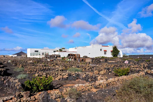 Vignobles en La Geria Lanzarote — Photo