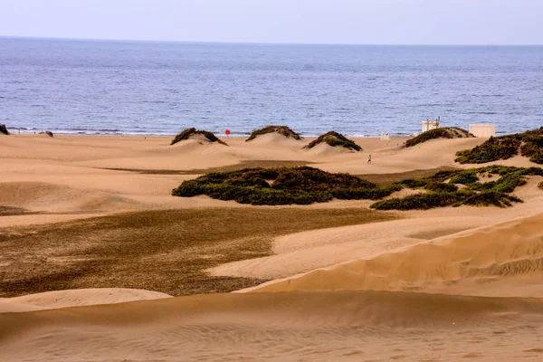 Desierto con dunas de arena en Gran Canaria España —  Fotos de Stock