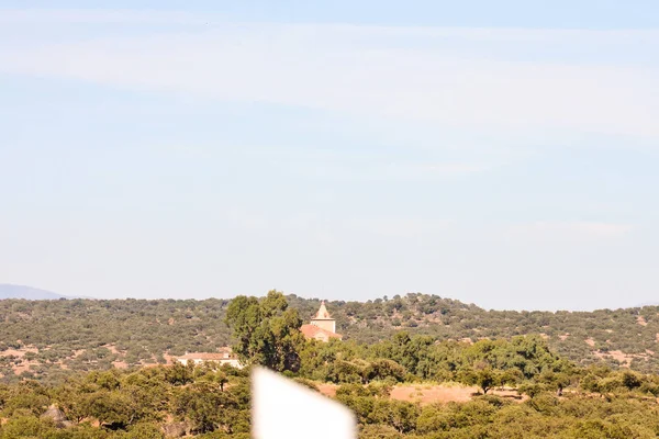 Campo natural europeu — Fotografia de Stock