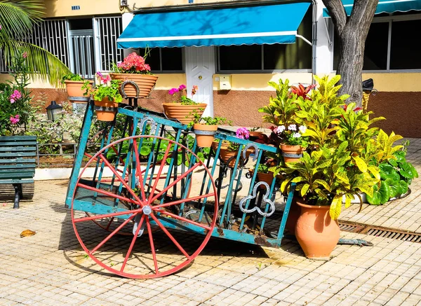 Vagão e Plantas — Fotografia de Stock