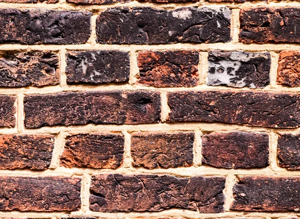 Grunge cihlová zeď textura — Stock fotografie
