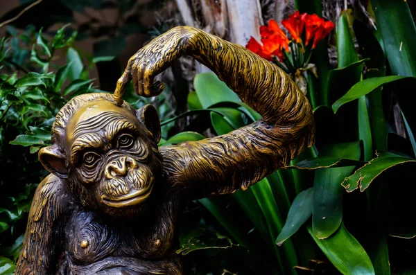 Staty av schimpans — Stockfoto