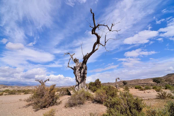 Tabernas del Desierto en la Provincia de Almería — Foto de Stock