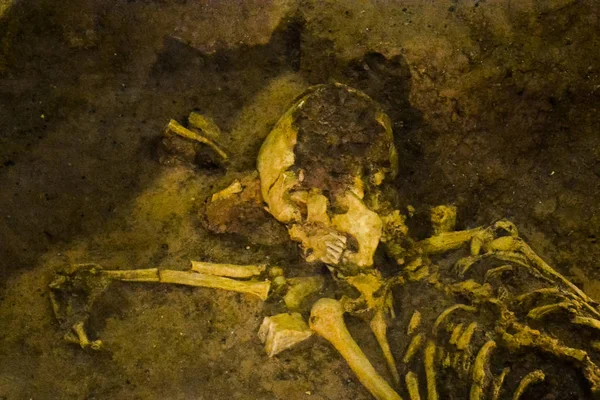 Archeologische vondst skelet van de mens — Stockfoto