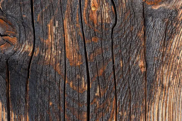 Textura de fondo de madera — Stockfoto