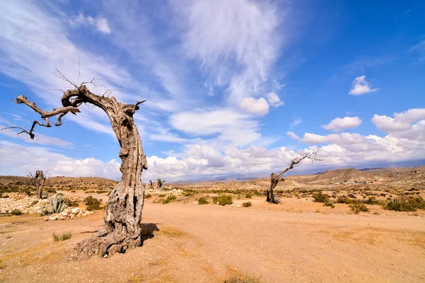Пустеля Tabernas в Альмерії провінція Іспанії — стокове фото