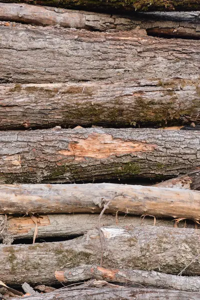 Struttura di fondo in legno — Foto Stock