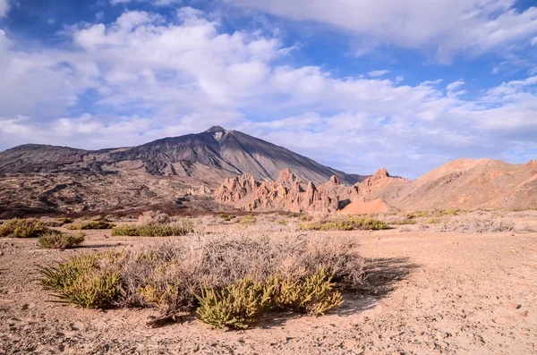 Teide Milli Parkı — Stok fotoğraf