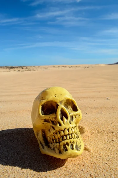 Objeto no deserto seco — Fotografia de Stock