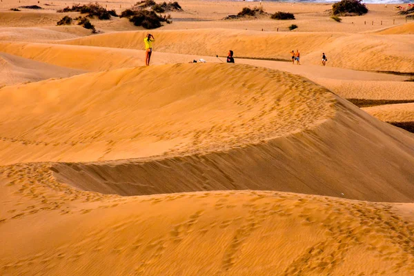 Desert with sand dunes in Gran Canaria Spain — Stock Photo, Image