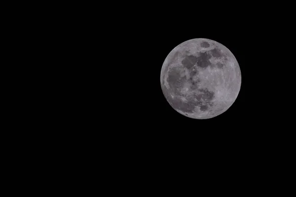 Maan in de nacht hemel — Stockfoto