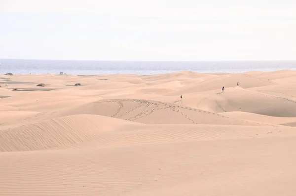 Desierto de dunas de arena en Maspalomas — Foto de Stock