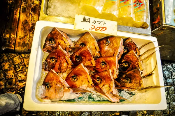 Токийский рыбный рынок — стоковое фото