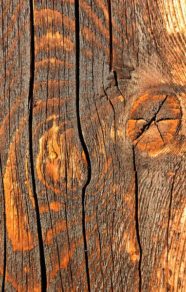 Achtergrondstructuur van hout — Stockfoto