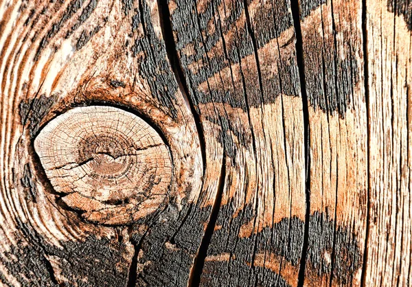 Holz Hintergrund Textur — Stockfoto