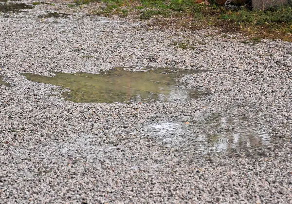 Pfütze aus Wasser und Regentropfen — Stockfoto