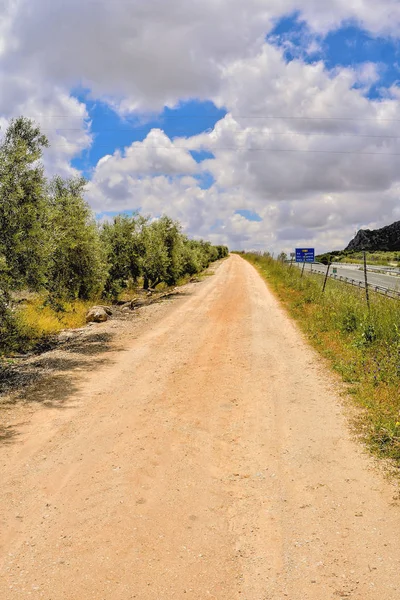 Strada sterrata deserto — Foto Stock