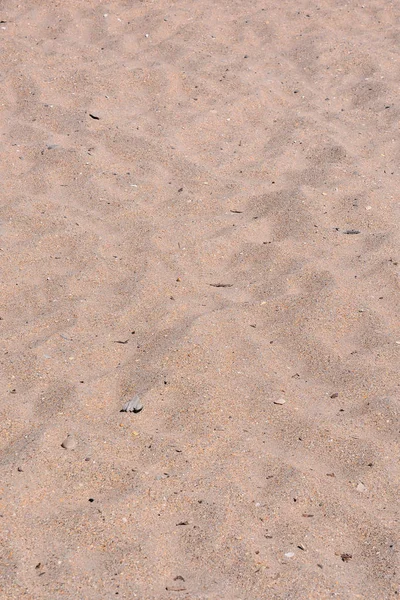 Крупный план песчаного пляжа летом — стоковое фото