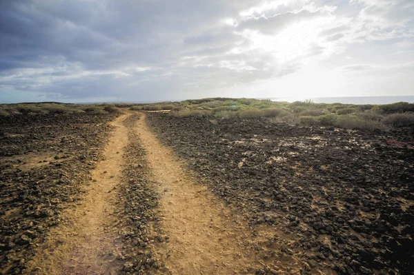 Landsbygdsvägen Desert Dirt Road — Stockfoto