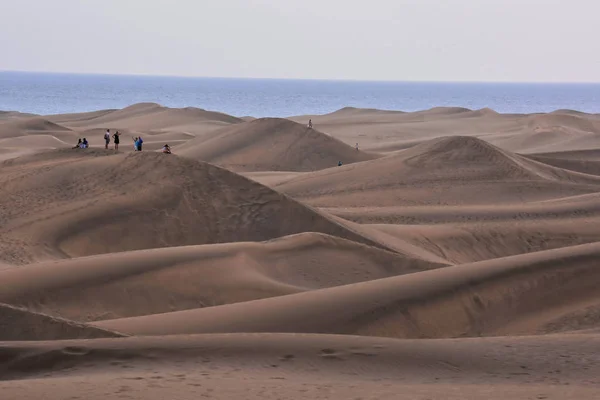 Deserto Con Dune Sabbia Maspalomas Gran Canaria Spagna — Foto Stock