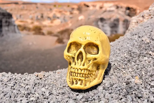 Foto Conceitual Objeto Crânio Humano Deserto Seco — Fotografia de Stock