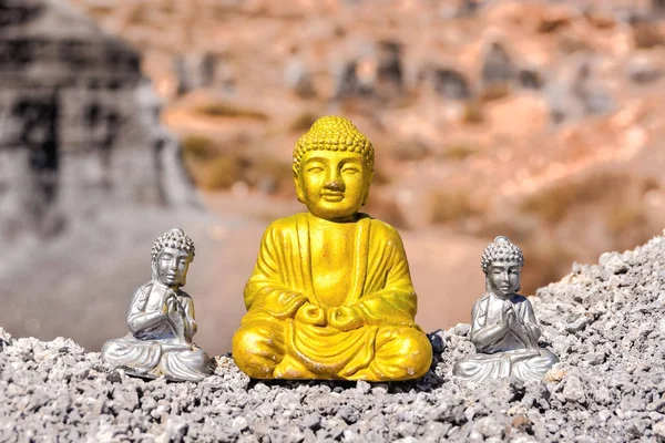 Imagem Conceitual Buda Deserto Seco — Fotografia de Stock