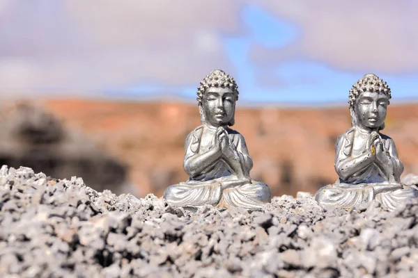 Imagem Conceitual Buda Deserto Seco — Fotografia de Stock