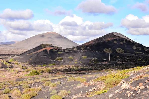 热带火山加那利群岛的景观 — 图库照片