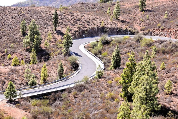 Toprak yol çöl — Stok fotoğraf