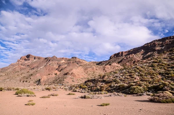 Nationaalpark Teide — Stockfoto