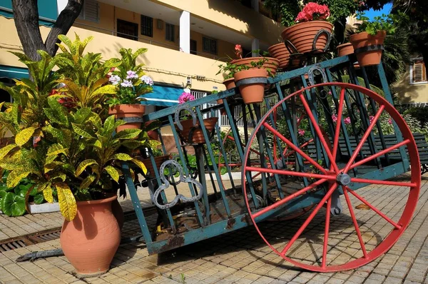 Carro Vasi Con Piante Giardino — Foto Stock