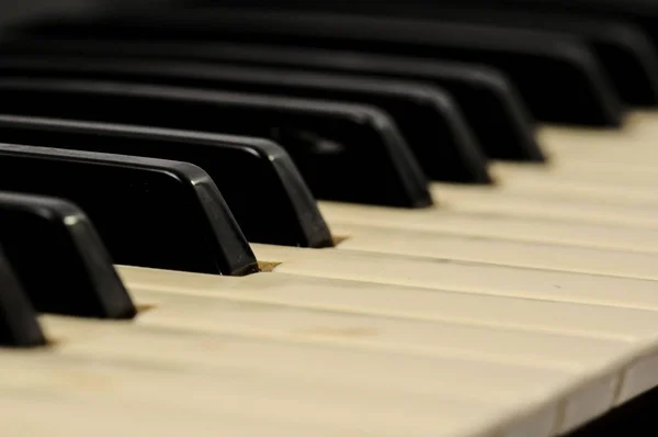 Primo Piano Tastiera Pianoforte Digitale Bianco Nero — Foto Stock