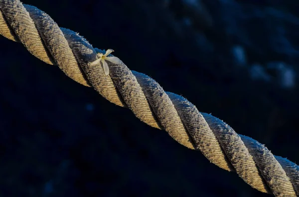 Old Vintage Naval Rope — Stock Photo, Image